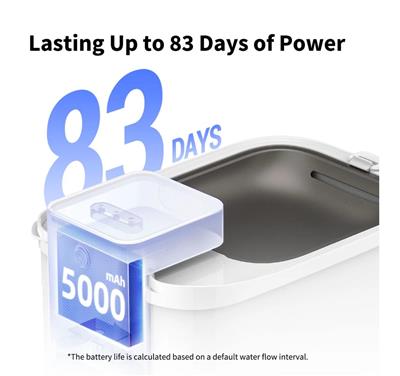 EverSweet Max (CORDLESS)
