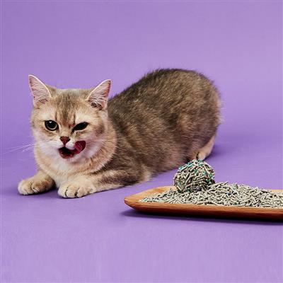Flushable Clumping Cat Litters