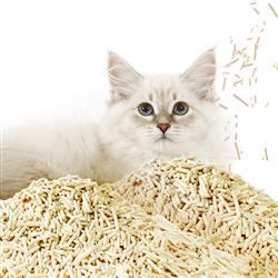 Extra Product Image