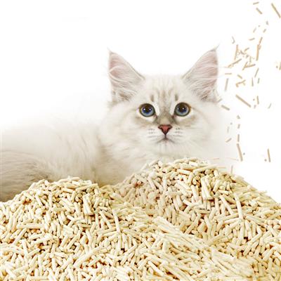 Occult Blood Test Unscented Clumping Tofu Cat Litter