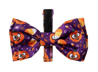FuzzYard Halloween Bowtie Goofie Gourds