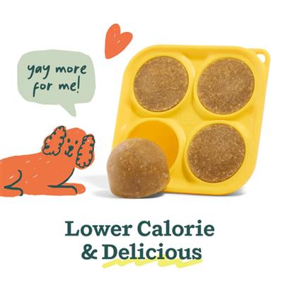 WOOF Pupsicle Treat Mix - Pumpkin Spice