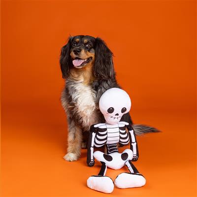 Bone To Be Wild Large Plsh Dog Toy