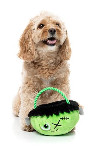 FuzzYard Franken Basket Plush Dog Toy