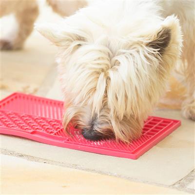 LickiMat Quattro Multi Pattern - No Hang Tag