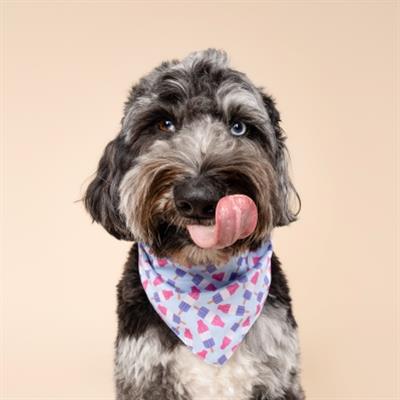Ice Block Cooling Dog Bandana