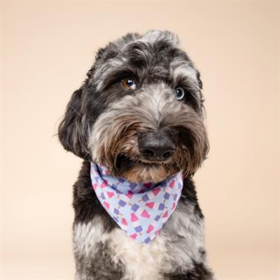 Ice Block Cooling Dog Bandana