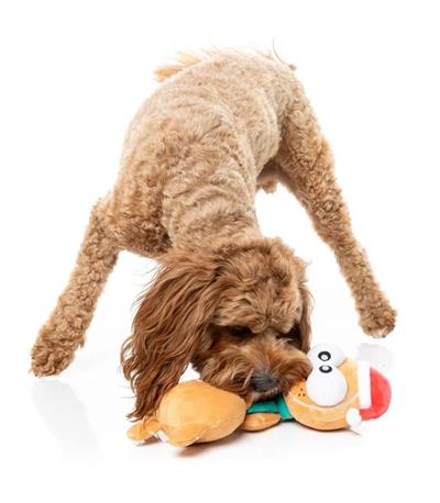 FuzzYard Holiday Monecka The Turkey Plush Dog Toy