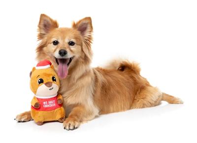 FuzzYard Holiday #1 Nutcracker Plush Dog Toy
