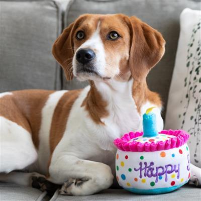 Happy Barkday Cake Dog Toy