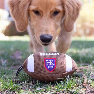 HK Football Dog Toy