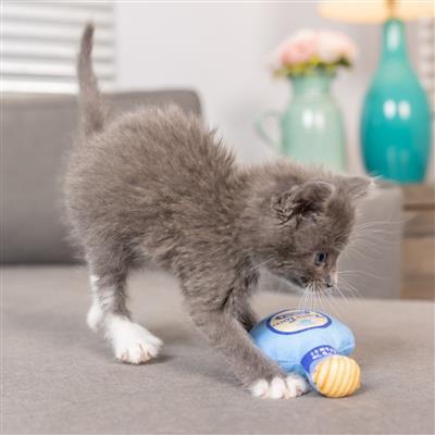 Kitty Loco Tequila Plush Cat Toy