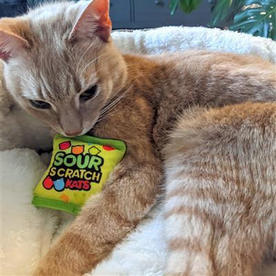 Sour Scratch Kats Plush Cat Toy