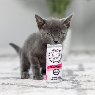 Kitty Klaw Clawberry Plush Cat Toy