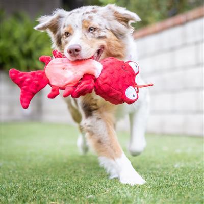 Slappies® Claude Lobster Dog Toy