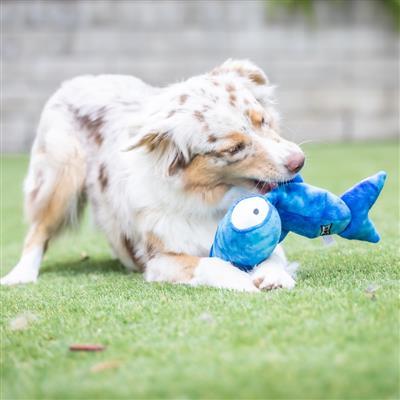 Slappies® Jack Hammerhead Dog Toy