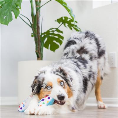 It's My Barkday Bone Dog Toy (Double Sided)