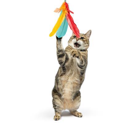 Teaser Treatos Snacks Wand 2pk Cat Toy