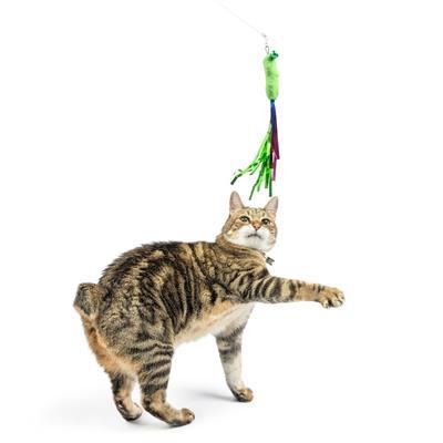 Snacky Teasers 3pk Refill Cat Toy