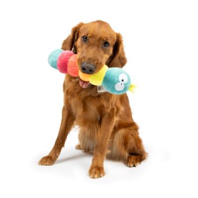 Fetchies® Caterpillar Dog Toy