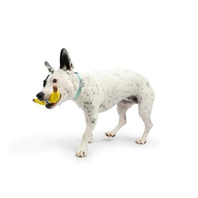 Tiny Tuff Bruiser Banana