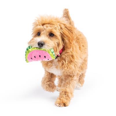 Tiny Tuff Walter Melon