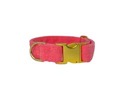 Designer Buckle Collar and Leash - Flamingo
