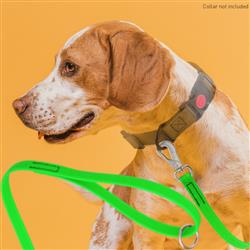 Extra Product Image