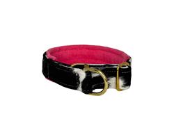 Designer Slip Collar Wrangler/Flamingo