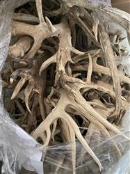Bulk Deer Antlers Whole Racks – Grade B/C - For Crafts or Dogs