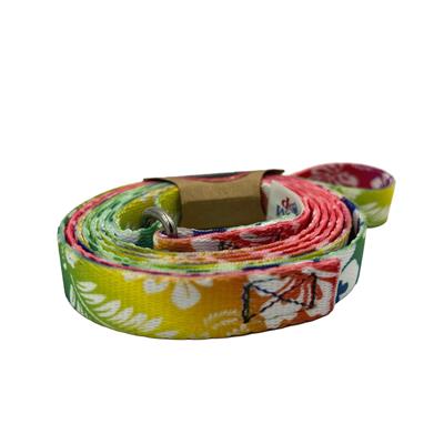 5ft Slip-Lead Leash Colorful Hawaiian by Groom Loop
