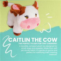 Extra Product Image