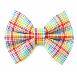 RAINBOW GRID PLAID  - DAPPER DEXTER DOG BOW TIE