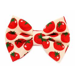 TOMATO  - DAPPER DEXTER DOG BOW TIE