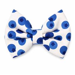 BLUEBERRIES - DAPPER DEXTER DOG BOW TIE