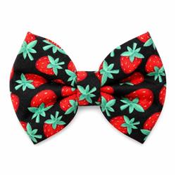 STRAWBERRIES - DAPPER DEXTER DOG BOW TIE