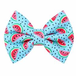 WATERMELON (TEAL) - DAPPER DEXTER DOG BOW TIE