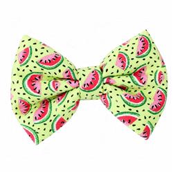 WATERMELON (LIME) - DAPPER DEXTER DOG BOW TIE