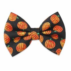 PUMPKINS - DAPPER DEXTER DOG BOW TIE
