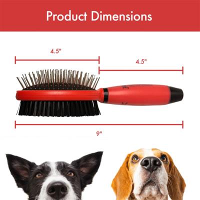 Dual-Action Pin & Bristle Brush