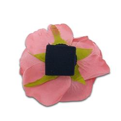 Extra Product Image