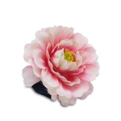 Extra Product Image