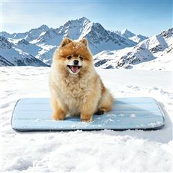 GOOPAWS Dog Cooling Mat, 24" x 18" Non-Slip Self-Cooling Summer Pet Mat for Indoor Outdoor Kennel Floor Use