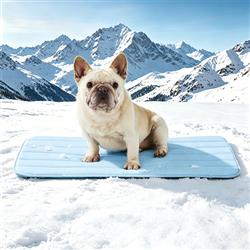GOOPAWS Dog Cooling Mat, 30" x 20" Non-Slip Self-Cooling Summer Pet Mat for Indoor Outdoor Kennel Floor Use, Blue