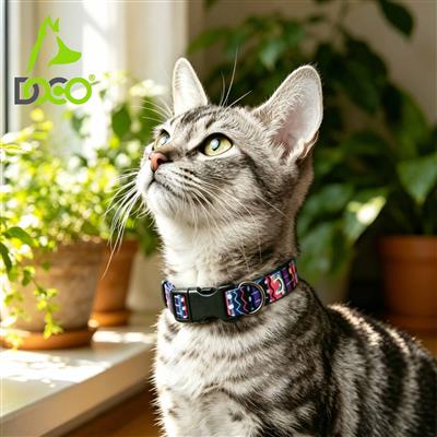 DOCO® Heat Transfer Cat/Dog Collar