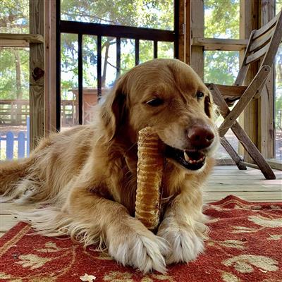 12" Beef Trachea | Shrink-wrapped product