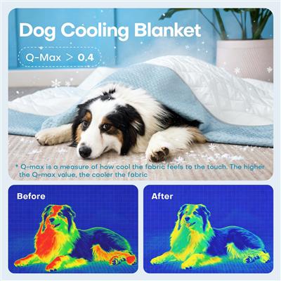 GOOPAWS All Season Reversible Cooling Dog Blanket, Green, 60x80"