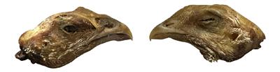 Chicken Heads - Bulk bag of 50pcs!