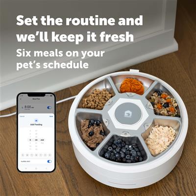 PetSafe® FreshFeed Refrigerated Pet Feeder