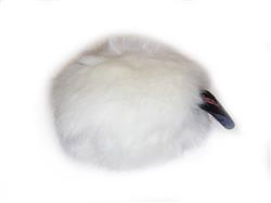 Extra Product Image